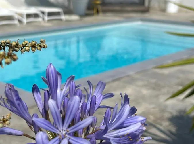 别墅 La Pointe D'aspretto